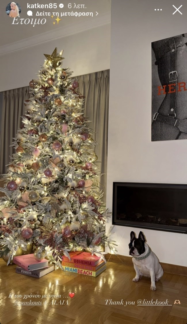 Η Κατερίνα Καινούργιου στόλισε για Χριστούγεννα: "Ειδικά φέτος αυτό το δέντρο έγινε με πολλή αγάπη"