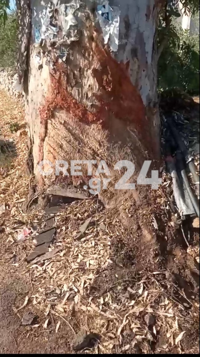 23χρονος Κρητη