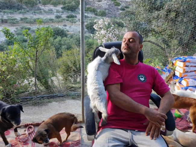 τακισ