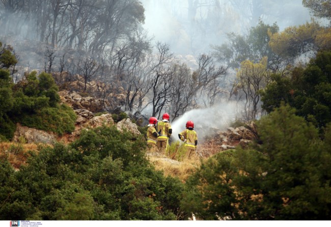 Φωτιά στα Βίλια: Συγκινητικές στιγμές - Οι κάτοικοι αποθεώνουν τους Πολωνούς πυροσβέστες [Βίντεο]