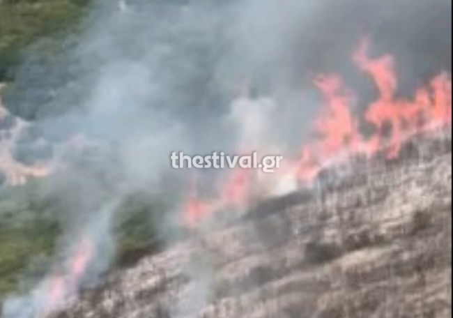 Φωτιά στο όρος Πάικο