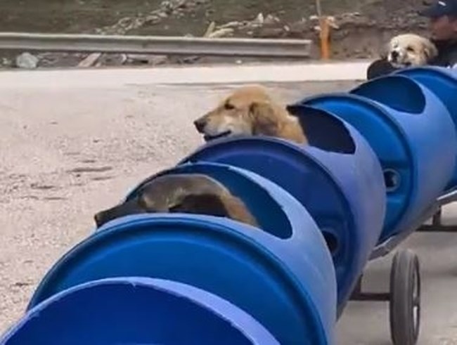 τουρκια