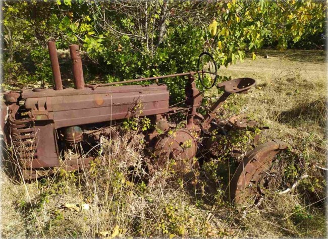 ΒΟΥΣΤΑΣΙΟ ΤΑΤΟΙ