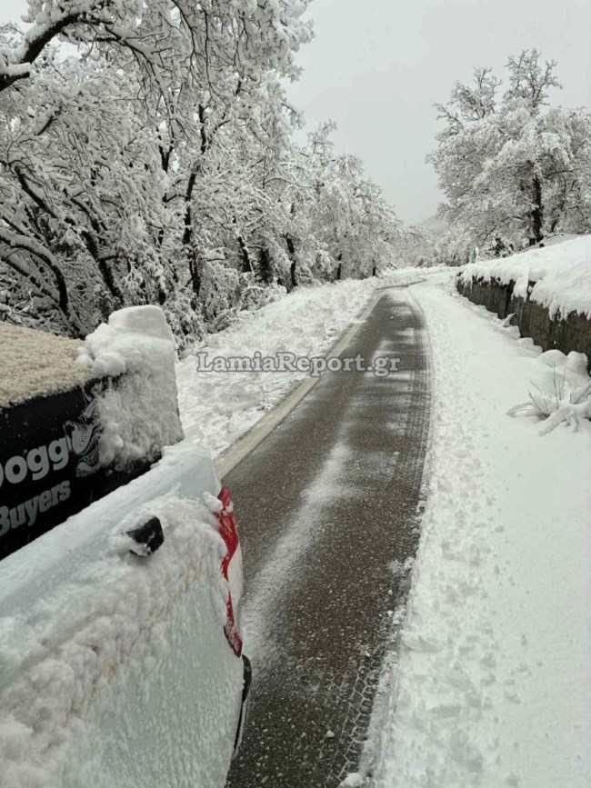 ΧΙΟΝΙΑ ΦΘΙΩΤΙΔΑ