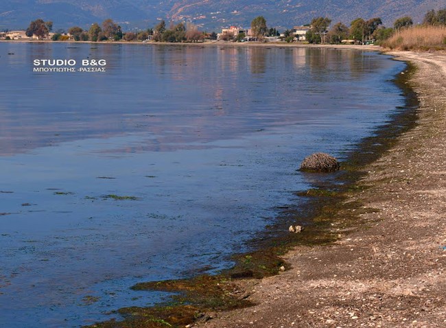 Πλαγκτόν 2