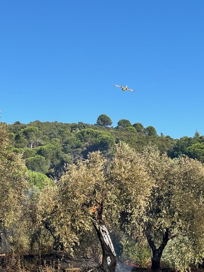 Φωτιά Πήλιο