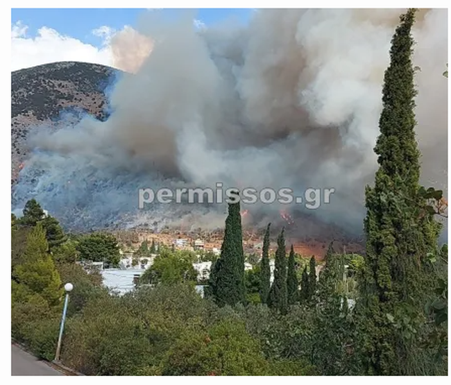 Φωτιά στο Δίστομο