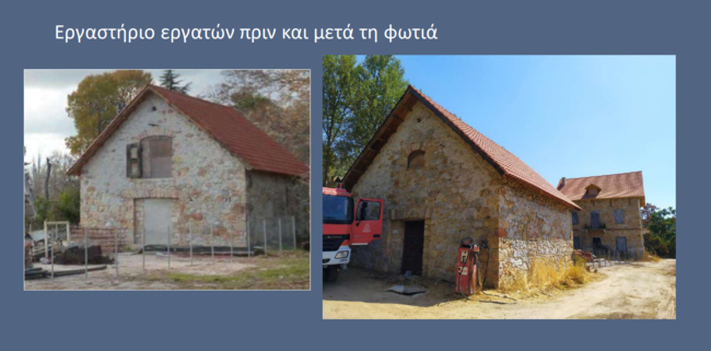 tatoi