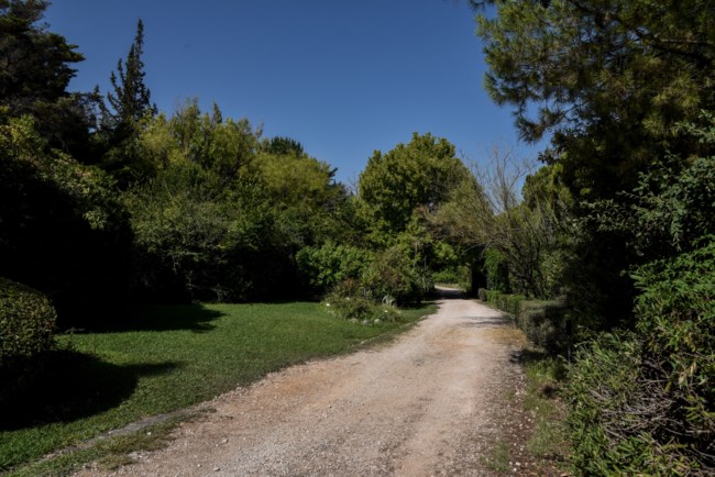 βοτανικός κήπος