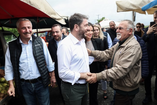Νίκος Ανδρουλάκης