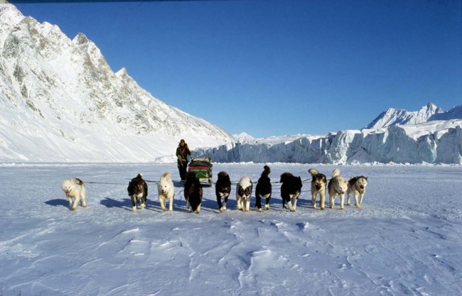 ΓΡΟΙΛΑΝΔΙΑ ΕΛΚΗΘΡΑ