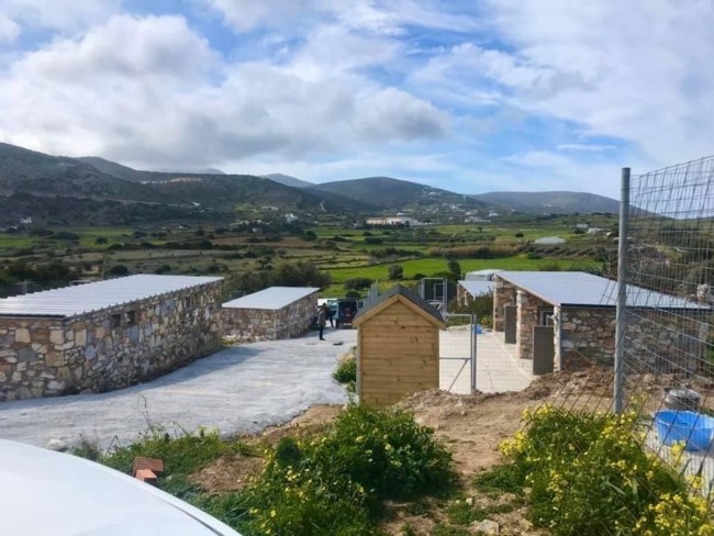 Πάρος: Ένα καταφύγιο-κόσμημα για τα αδέσποτα του νησιού κινδυνεύει με λουκέτο - Ο Δήμος αρνείται τις υποχρεώσεις του