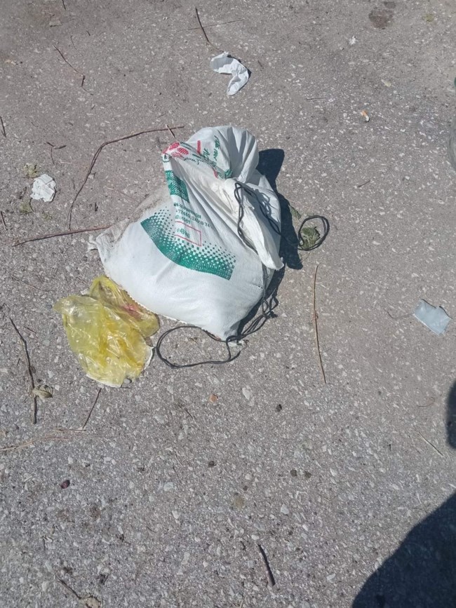 κουταβια