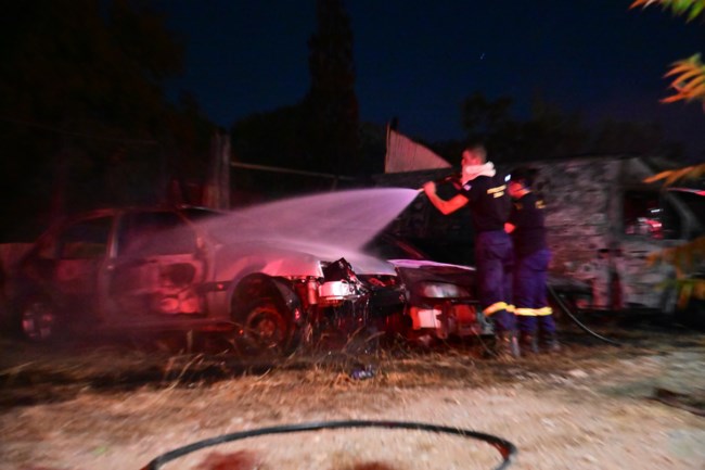 ΦΩΤΙΑ ΣΕ ΜΑΝΤΡΑ