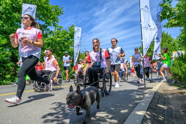 NAVARINO CHALLENGE
