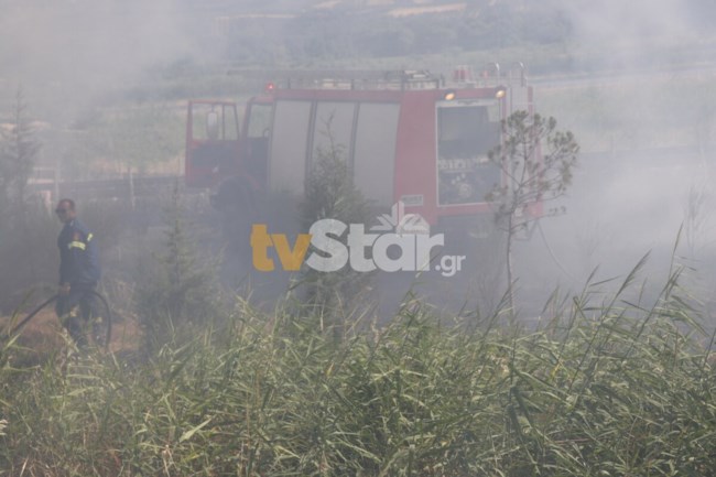 Πύρινα μέτωπα: Μάχη με τις φλόγες σε Ξυλόκαστρο, Αταλάντη και Σουφλί [Εικόνες, Βίντεο]