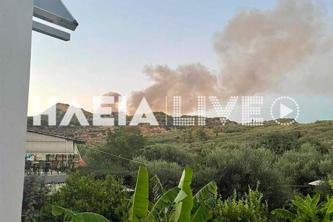 Φωτιά στην Ηλεία