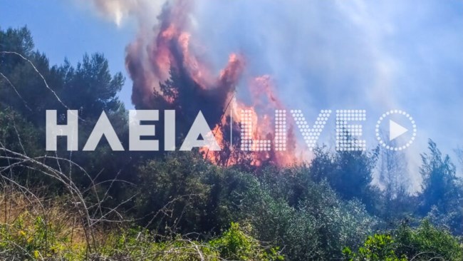 Ηλεία: Μεγάλη φωτιά σε δασική έκταση στον Πύργο - Επιχειρούν ισχυρές δυνάμεις της Πυροσβεστικής