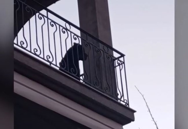 ευβοια