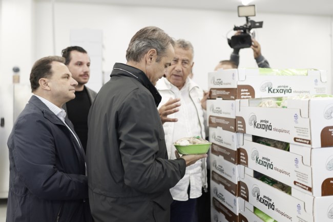 ΜΗΤΣΟΤΑΚΗΣ ΓΗΡΟΚΟΜΕΙΟ