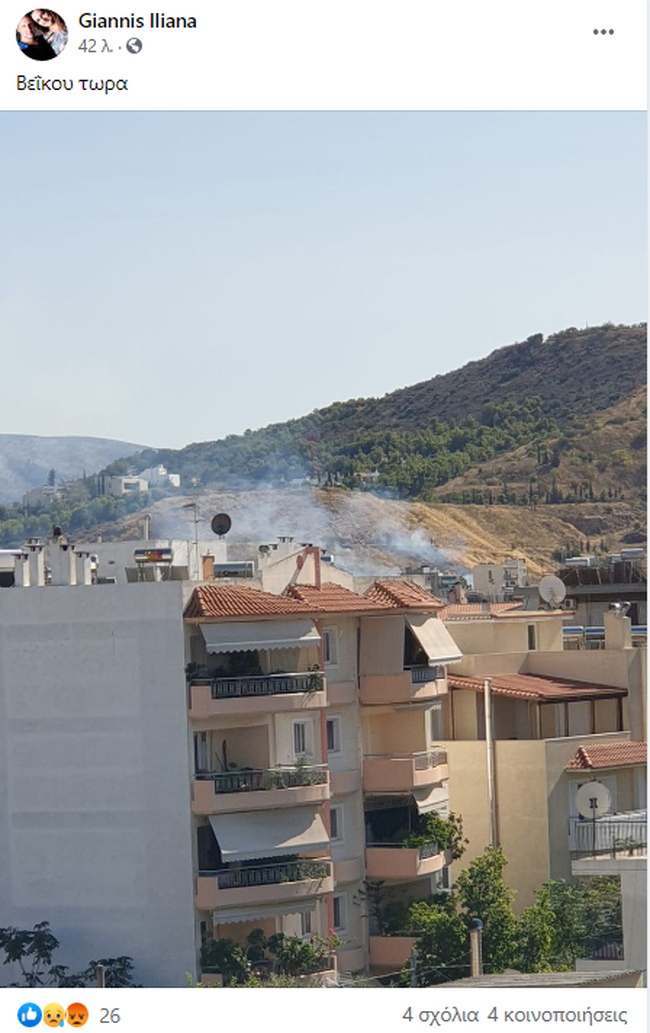 Υπό μερικό έλεγχο η φωτιά μέσα στο Άλσος Βεΐκου στο Γαλάτσι [εικόνες]
