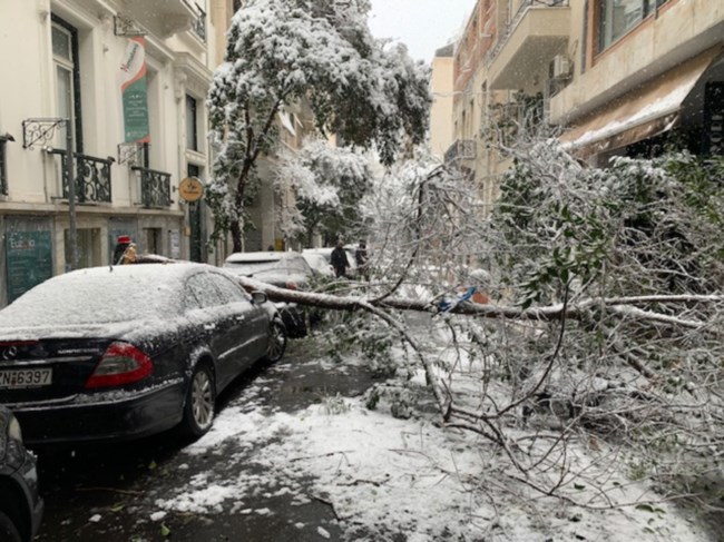 δενδρα