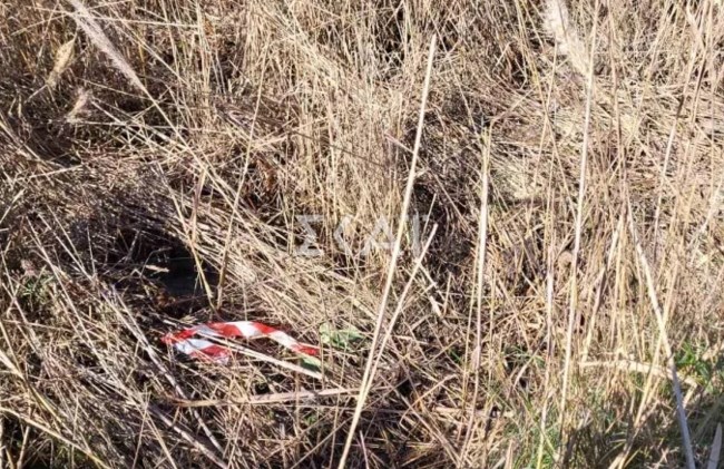 Μεσολόγγι: Σε αυτό το σημείο με τα ξερά χόρτα βρέθηκε η σορός του Μπάμπη - Ψάχνουν το κινητό και το όπλο του