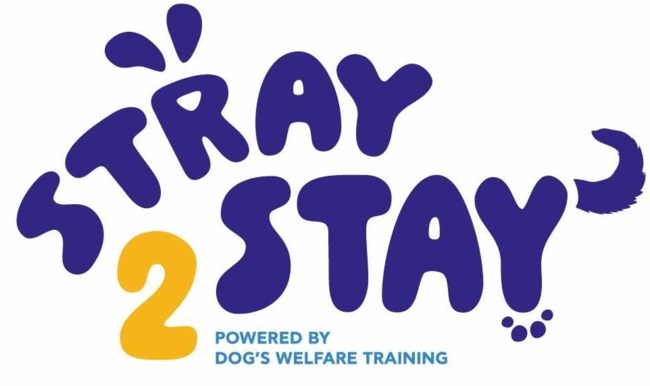 STRAY 2 STAY