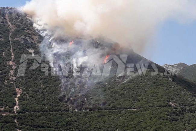 Φωτιά στην Πρέβεζα: Μεγάλη κινητοποίηση της πυροσβεστικής σε δύσβατη περιοχή [Εικόνες]