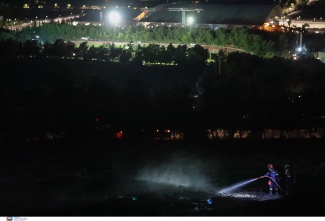 Φωτιά άλσος Γαλάτσι