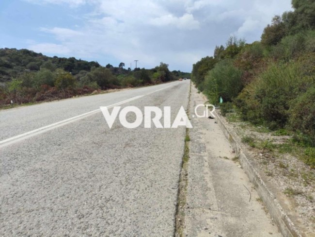 Τραγωδία στη Χαλκιδική: Πρώτα καυγάδισαν σε νυχτερινό κλαμπ και μετά στο οδόστρωμα - Χαροπαλεύει η 46χρονη αστυνομικός