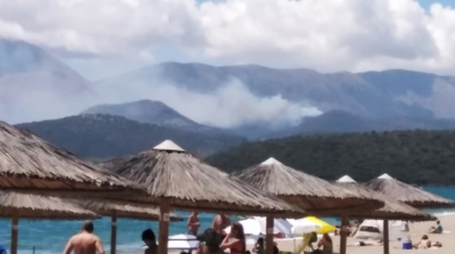 Μάνη Φωτιά