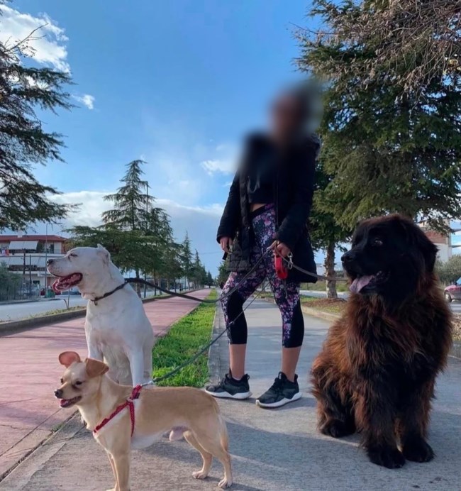 ΚΥΚΛΩΜΑ ΑΝΑΒΟΛΙΚΑ