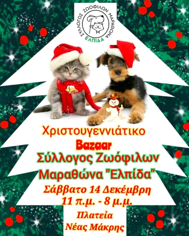 Το Σάββατο το μεγάλο bazaar για τα αδέσποτα από τον Σύλλογο Ζωόφιλων  Μαραθώνα "Η Ελπίδα"