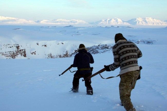 ΓΡΟΙΛΑΝΔΙΑ ΕΠΙΛΕΚΤΟΙ ΜΕ ΕΛΚΗΘΡΑ ΚΑΙ ΣΚΥΛΙΑ
