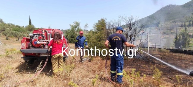Φωτιά στη Νεμέα: Κινδύνεψε κατοικία, κάηκε γεωργική έκταση [Εικόνες]