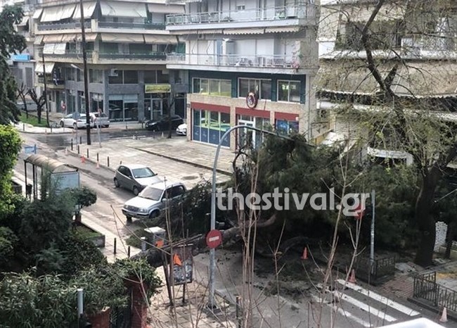 δέντρο