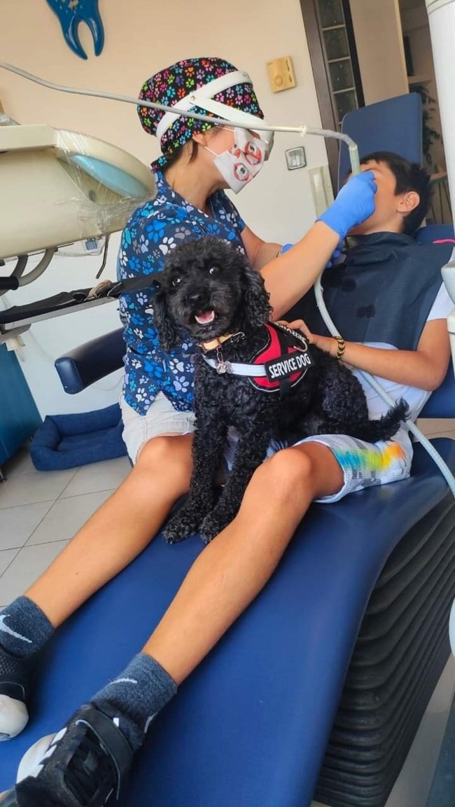 Από τον δρόμο, βοηθός σε οδοντιατρείο – Η τετράποδη Άριελ που διώχνει το άγχος για τον τροχό και τη σύριγγα