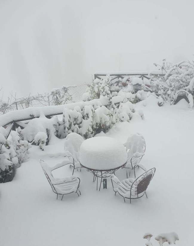 Έπεσαν τα πρώτα χιόνια: Μαγευτικές εικόνες από τα χιονισμένα ορεινά της Δυτικής Μακεδονίας - Στα λευκά πολλές περιοχές