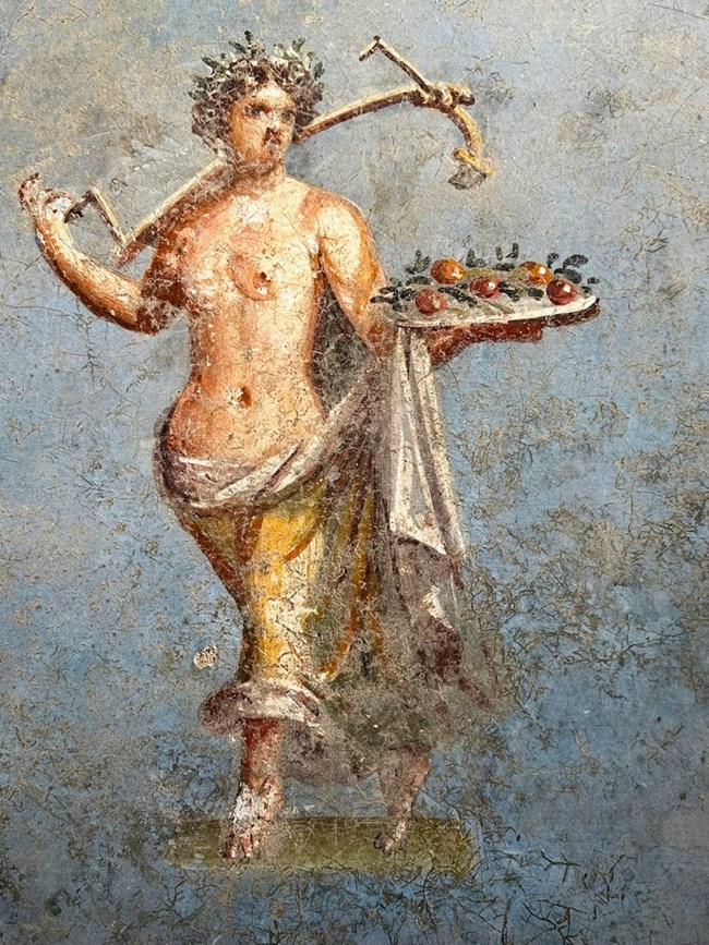 ΠΟΜΠΗΙΑ ΜΠΛΕ ΔΩΜΑΤΙΟ