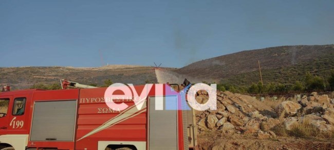 Σε ύφεση η φωτιά στο Αλιβέρι: Συνελήφθη ο 75χρονος που "κάπνιζε" μελίσσια [εικόνες - βίντεο]