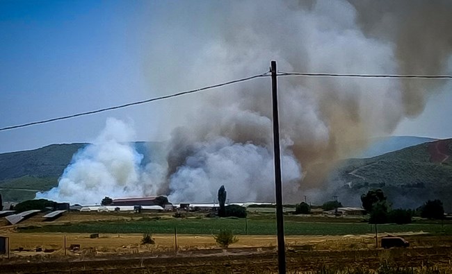 Φωτιά στην Εύβοια