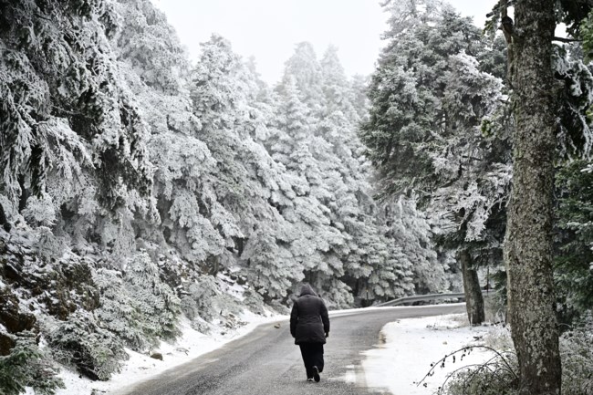 Χιόνια στην Πάρνηθα