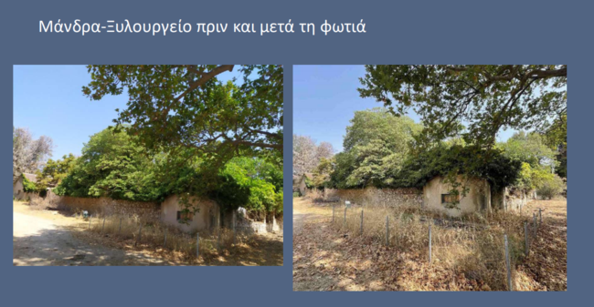 tatoi