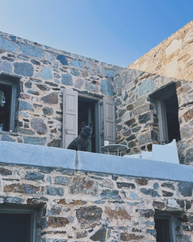 ΔΑΝΑΗ ΜΠΑΡΚΑ ΣΕΡΙΦΟΣ