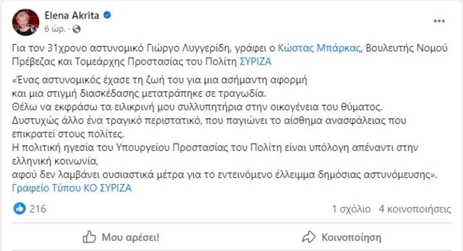 ανάρτηση Έλενα Ακρίτα