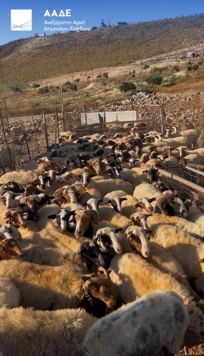 ΑΑΔΕ ΕΛΕΓΧΟΙ ΚΡΗΤΗ ΠΑΡΑΝΟΜΕΣ ΕΠΙΔΟΤΗΣΕΙΣ