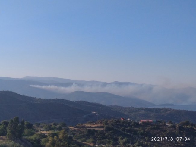 Πυρκαγιά στη Χίο: Εντολή εκκένωσης του χωριού Κατάβαση - Τραυματίστηκε πυροσβέστης