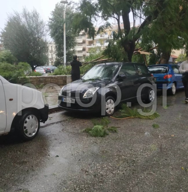 ΑΝΕΜΟΘΥΕΛΛΑ ΠΑΤΡΑ