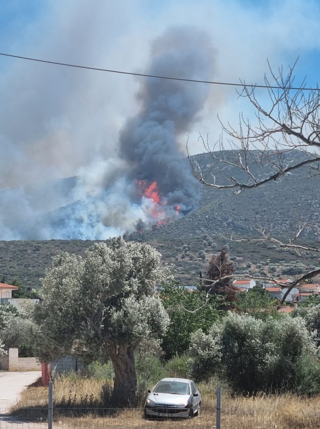 Φωτιά Κουβαράς